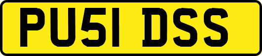 PU51DSS