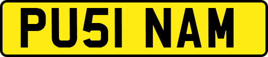 PU51NAM