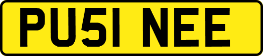 PU51NEE