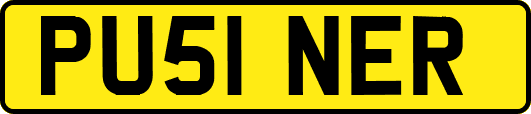 PU51NER