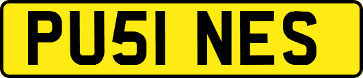 PU51NES
