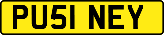 PU51NEY