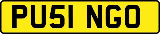 PU51NGO