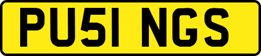 PU51NGS