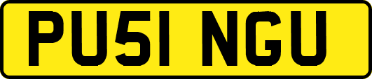 PU51NGU