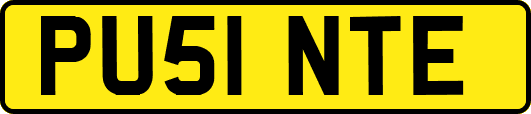 PU51NTE