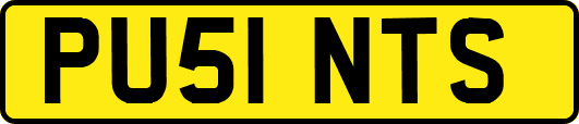 PU51NTS