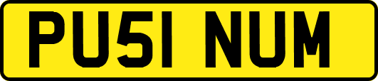 PU51NUM