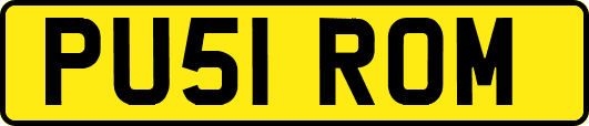 PU51ROM