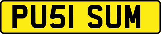 PU51SUM