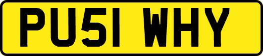 PU51WHY