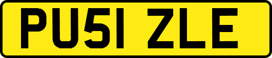 PU51ZLE