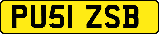 PU51ZSB