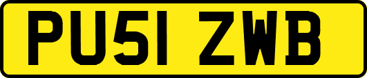 PU51ZWB