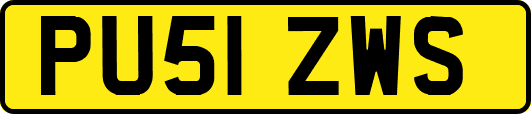 PU51ZWS