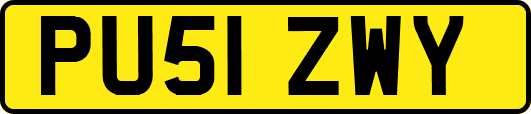 PU51ZWY