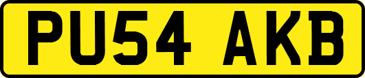 PU54AKB