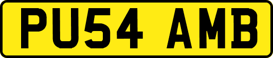 PU54AMB