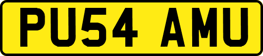 PU54AMU
