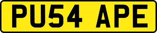 PU54APE