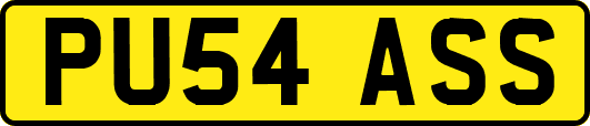 PU54ASS