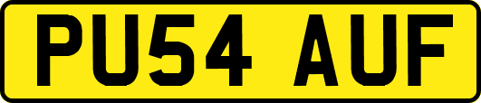 PU54AUF
