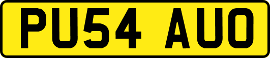 PU54AUO