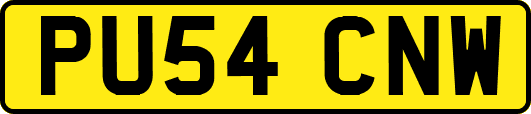 PU54CNW