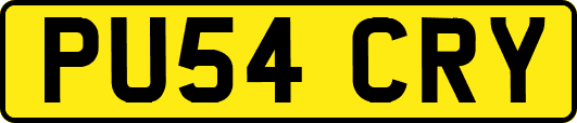 PU54CRY