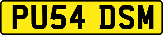 PU54DSM