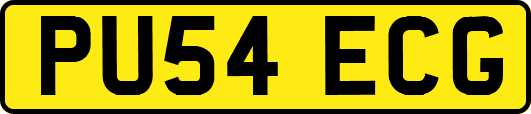 PU54ECG