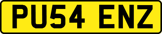 PU54ENZ