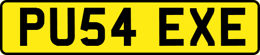 PU54EXE