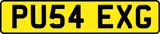 PU54EXG