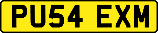 PU54EXM