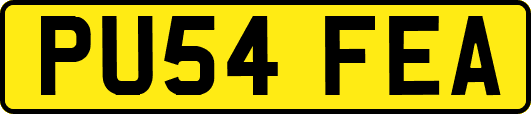PU54FEA