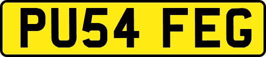 PU54FEG