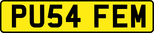 PU54FEM