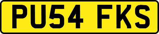 PU54FKS