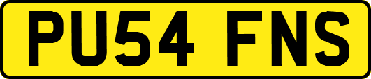 PU54FNS