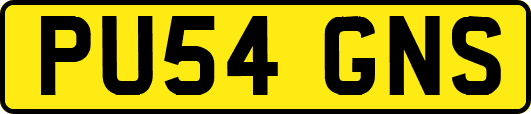 PU54GNS