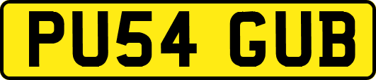 PU54GUB