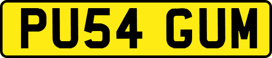 PU54GUM