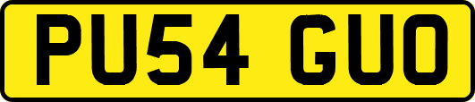 PU54GUO