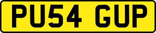 PU54GUP