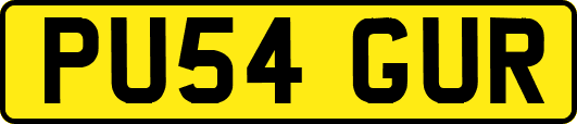 PU54GUR
