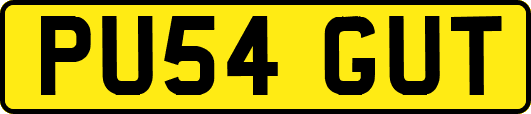 PU54GUT