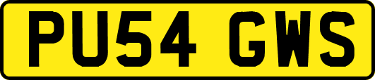 PU54GWS