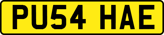 PU54HAE