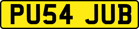PU54JUB
